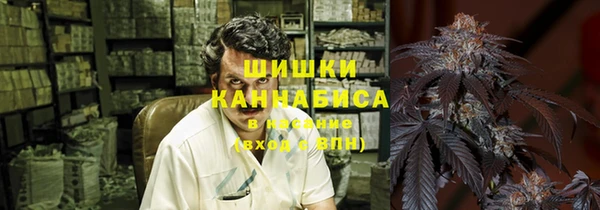 твердый Арсеньев