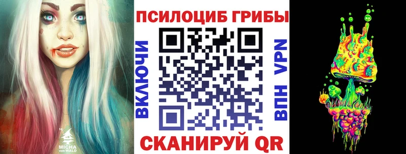 Галлюциногенные грибы мицелий  как найти   ссылка на мегу ССЫЛКА  Ельня 